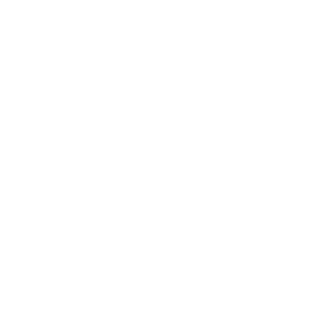 White Phone Icon